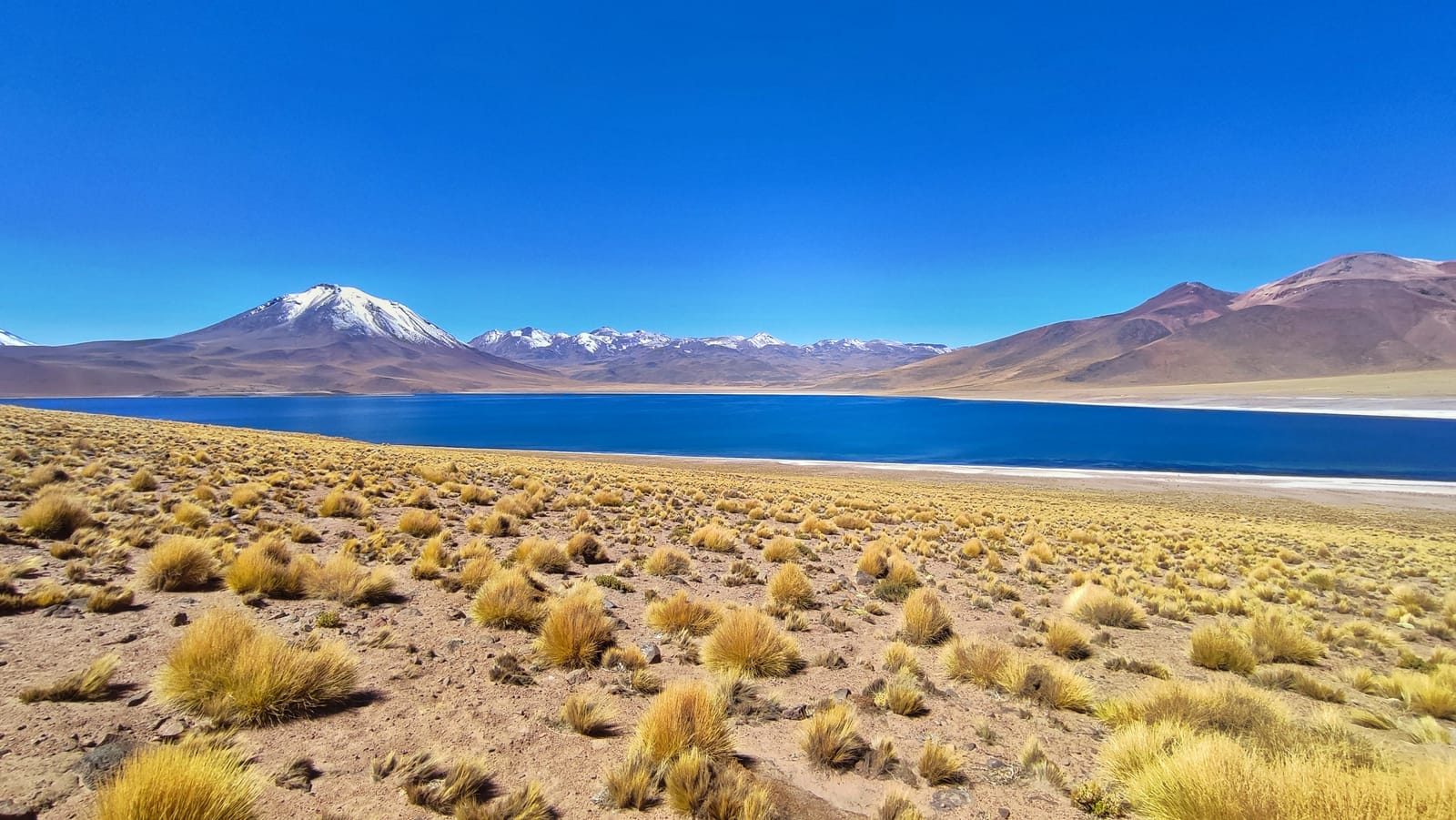 Lagunas Altiplânicas · foto 3