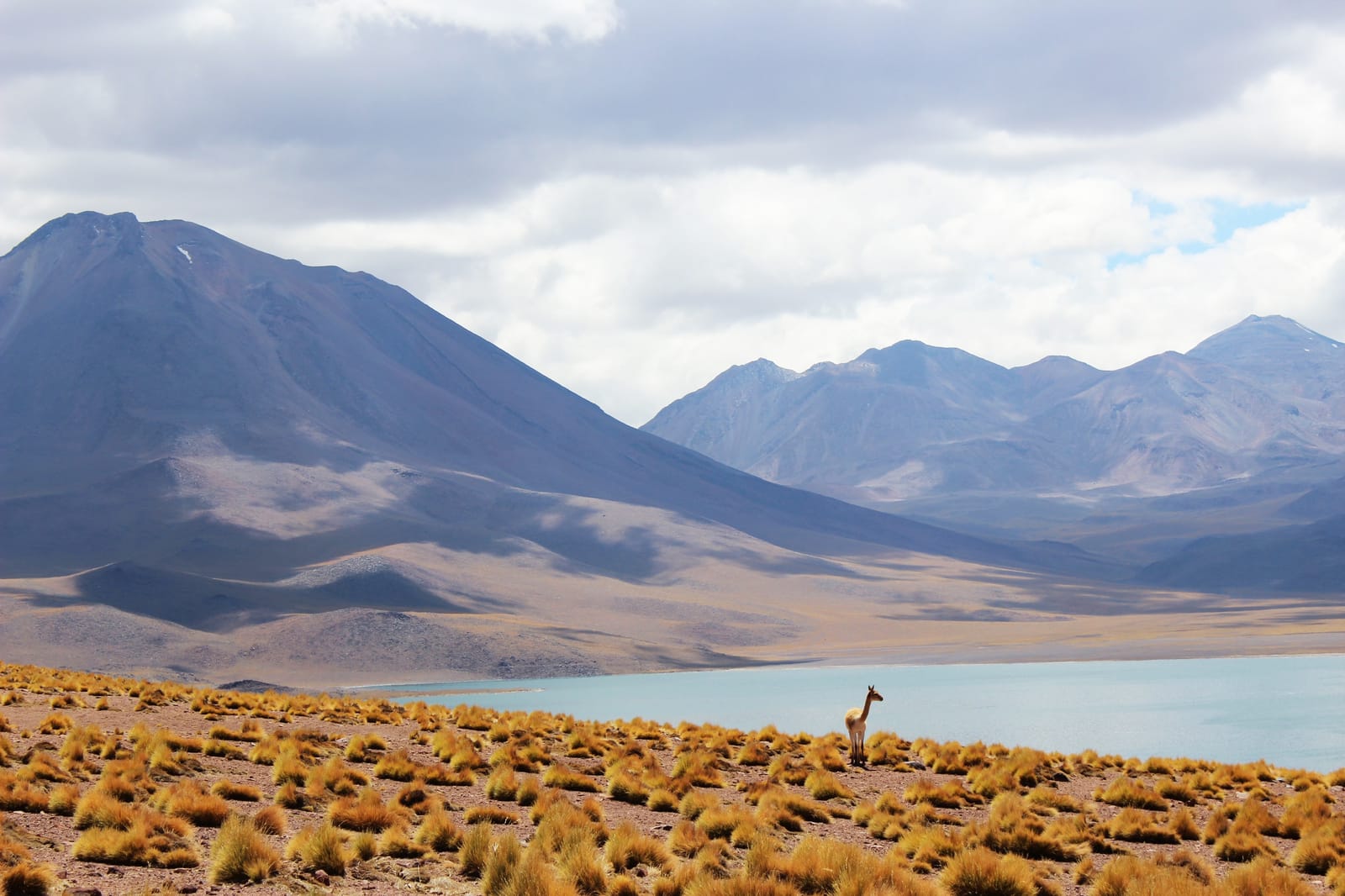 Lagunas Altiplânicas · foto 5