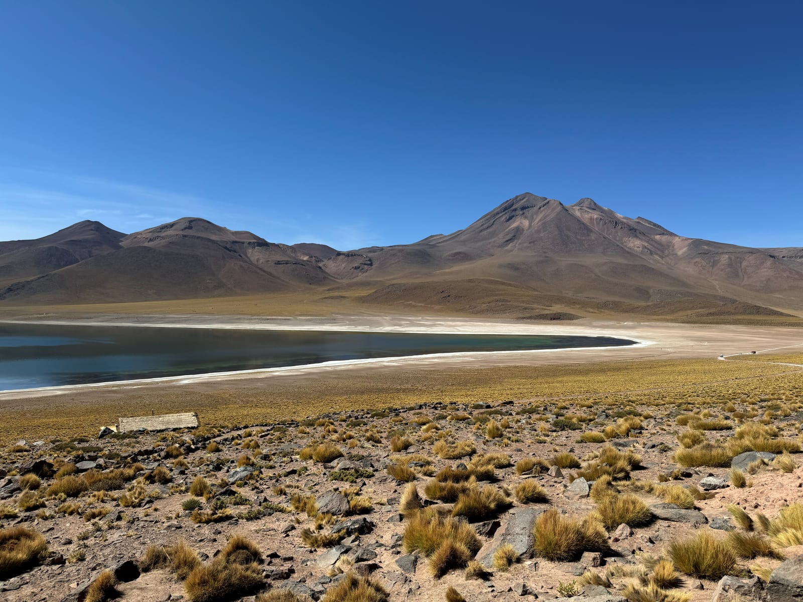 Lagunas Altiplânicas · foto 8