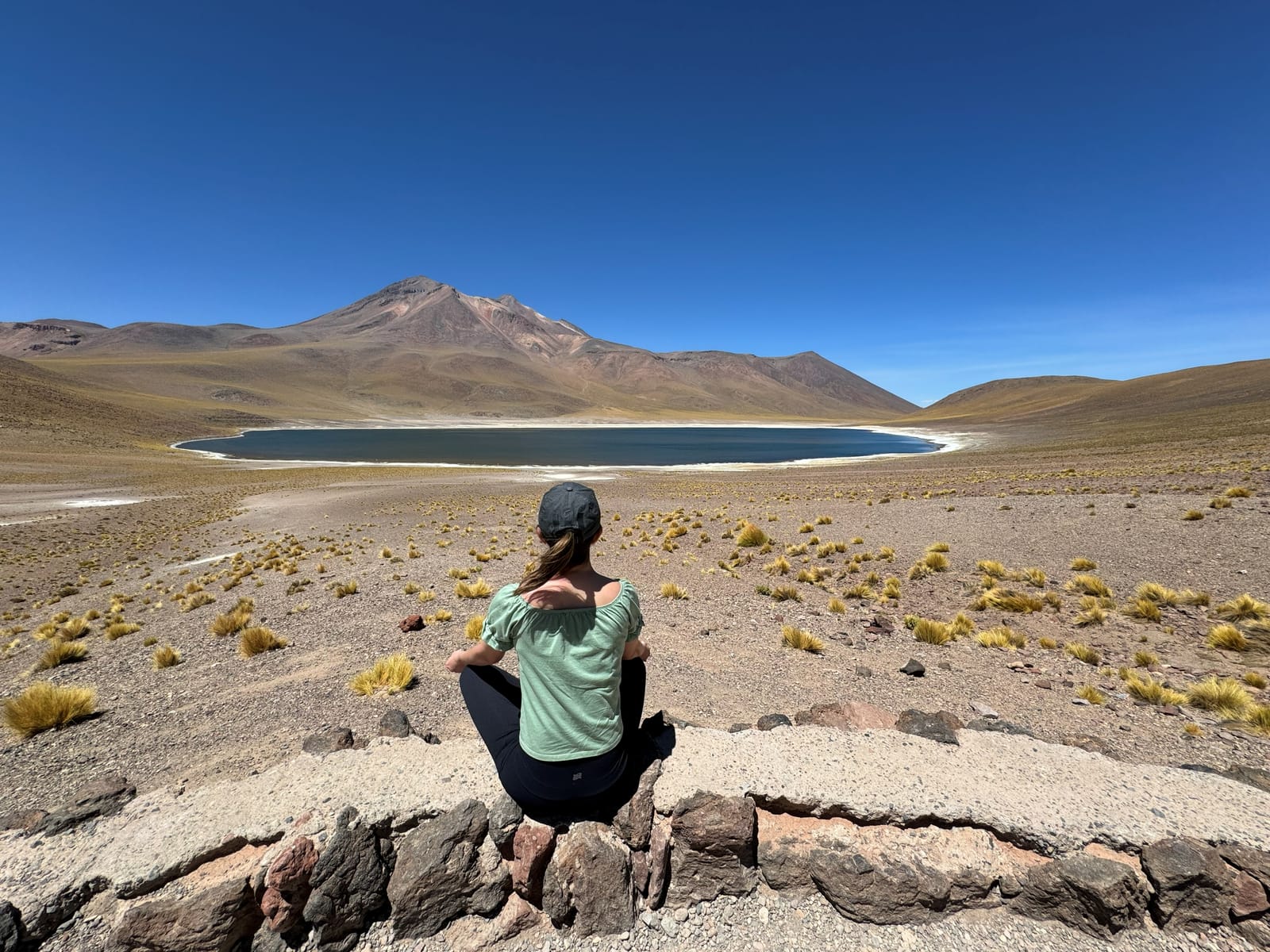 Lagunas Altiplânicas · foto 9