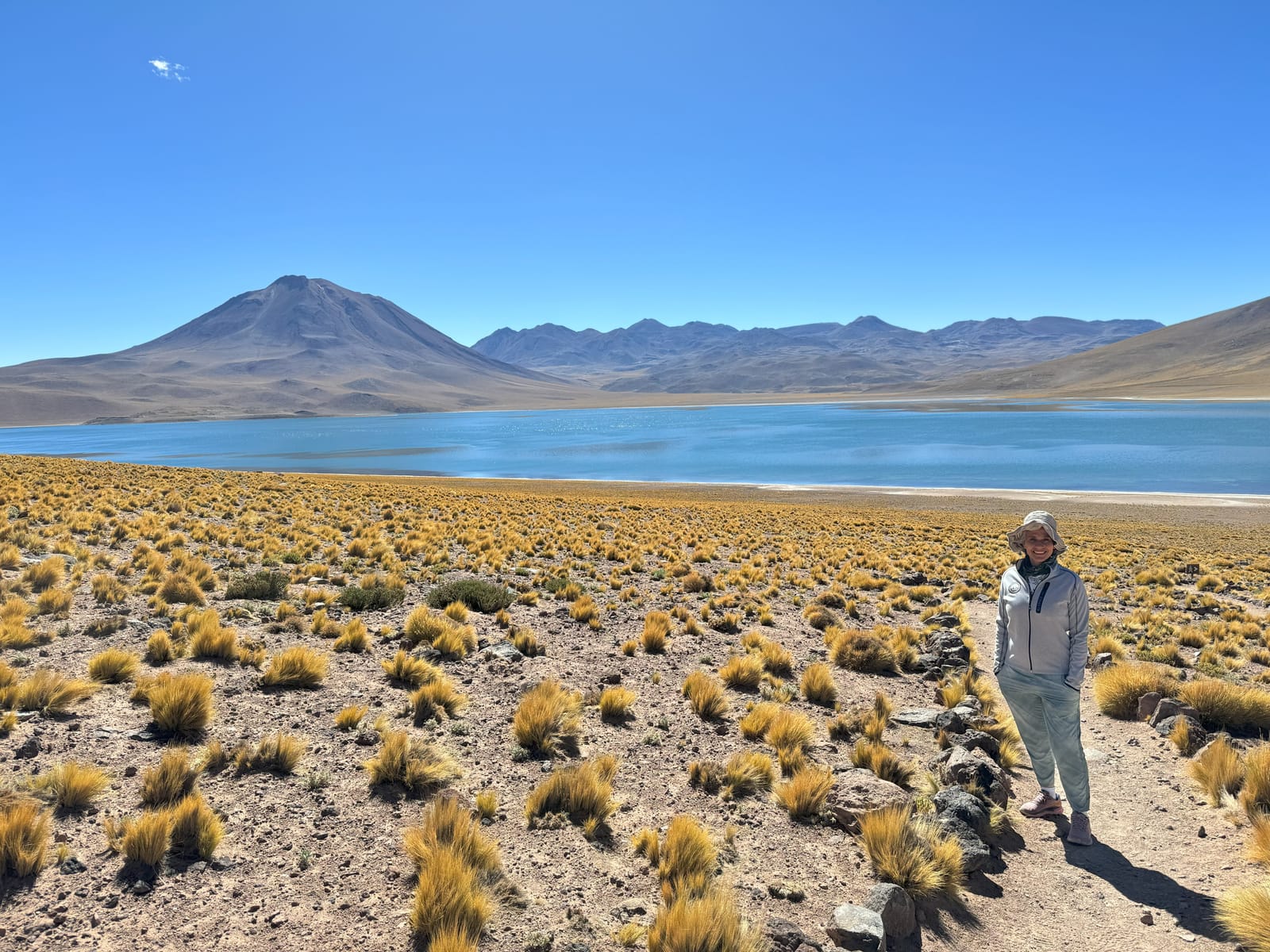 Lagunas Altiplânicas · foto 10