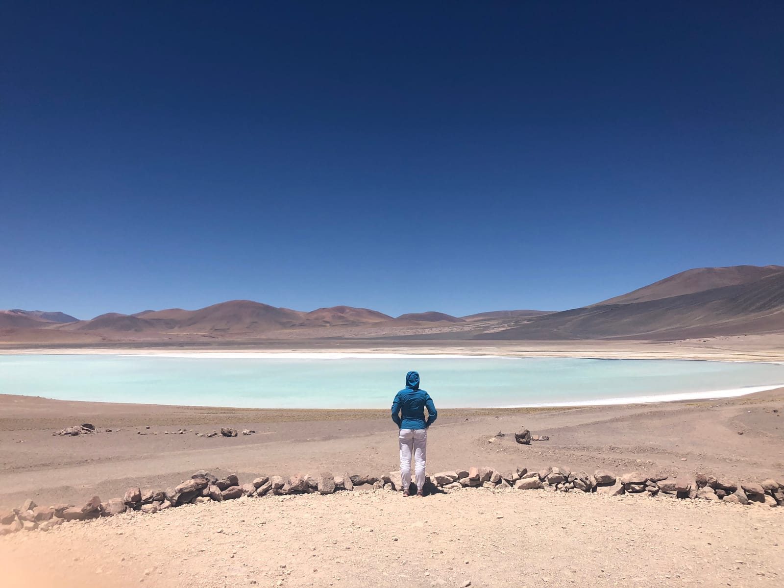 Lagunas Altiplânicas · foto 12