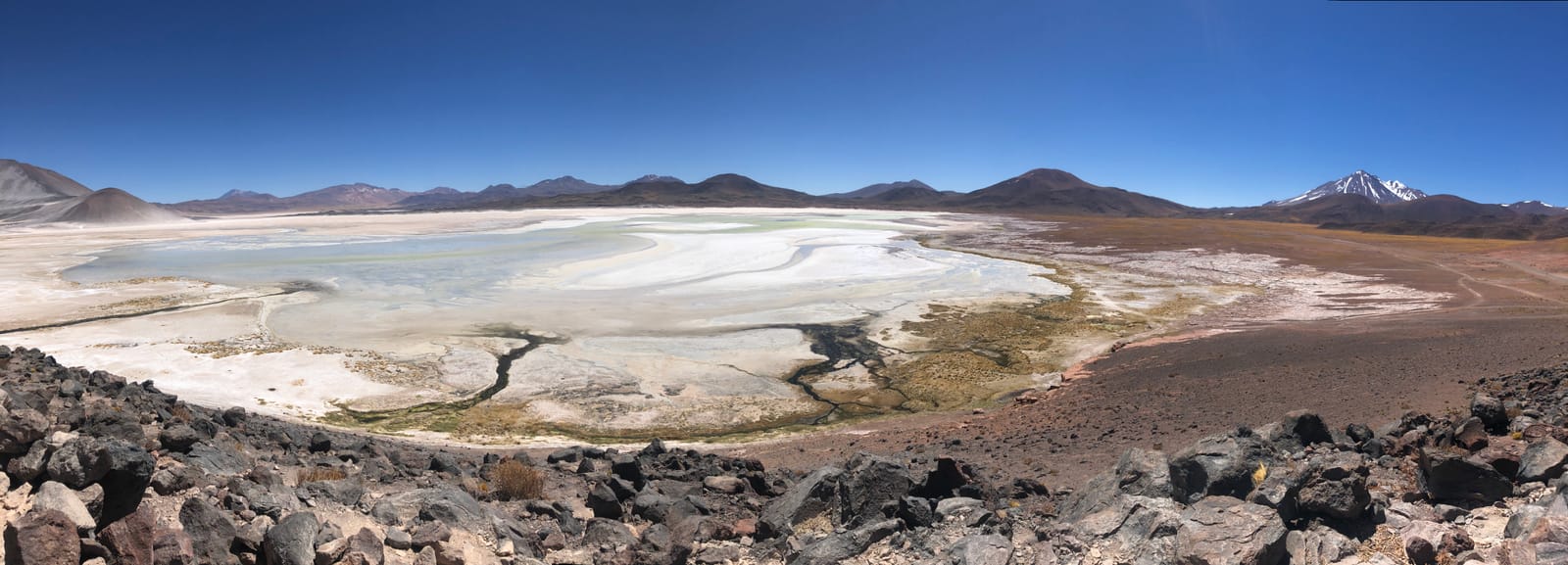 Lagunas Altiplânicas · foto 13