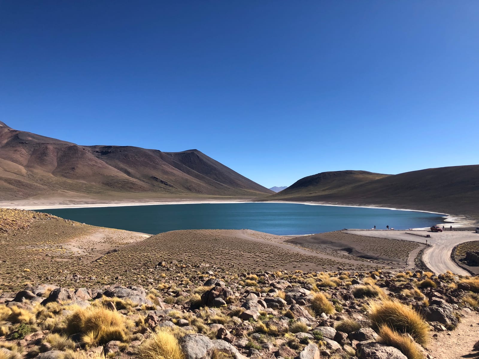 Lagunas Altiplânicas · foto 14