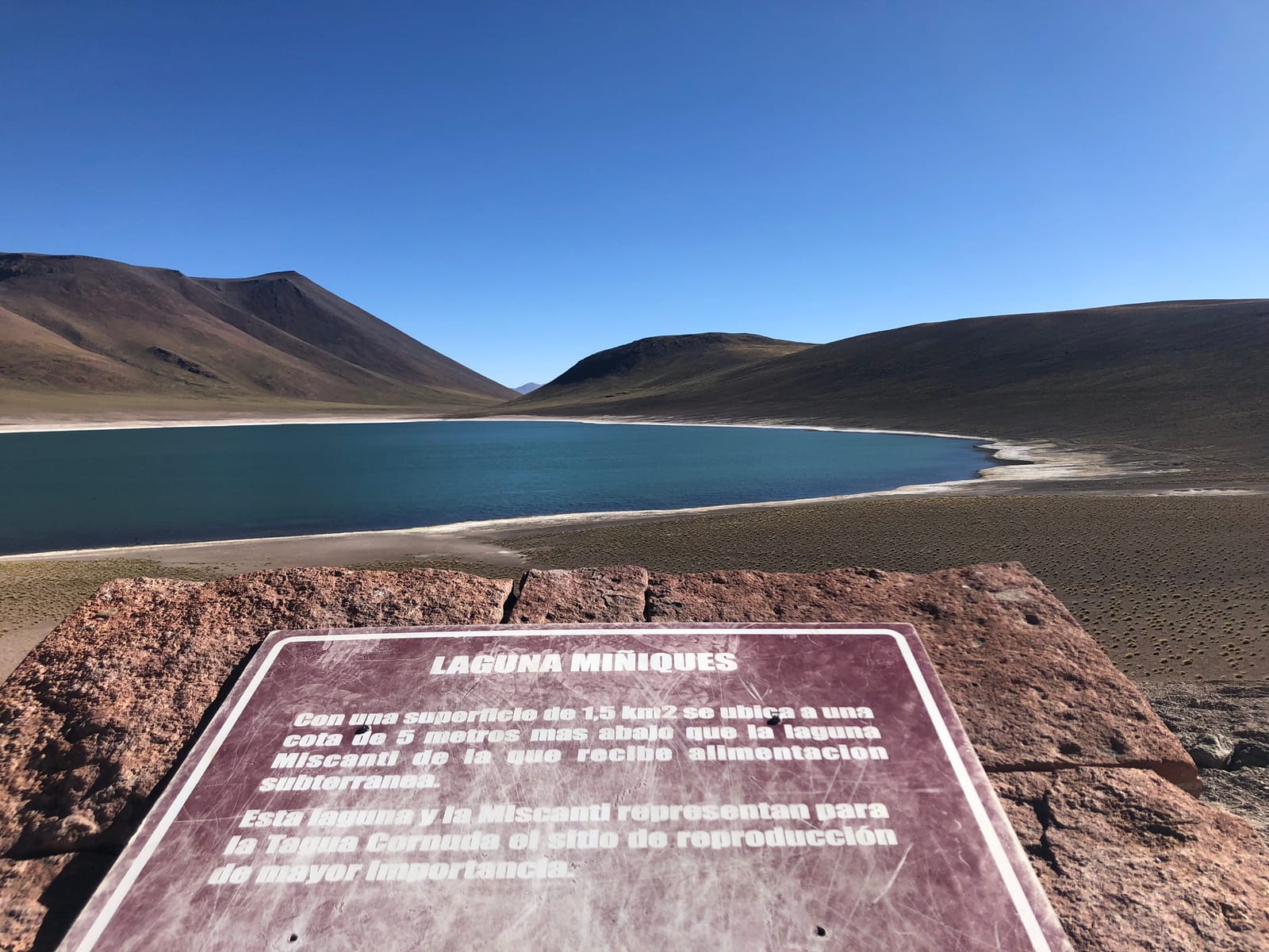 Lagunas Altiplânicas · foto 15
