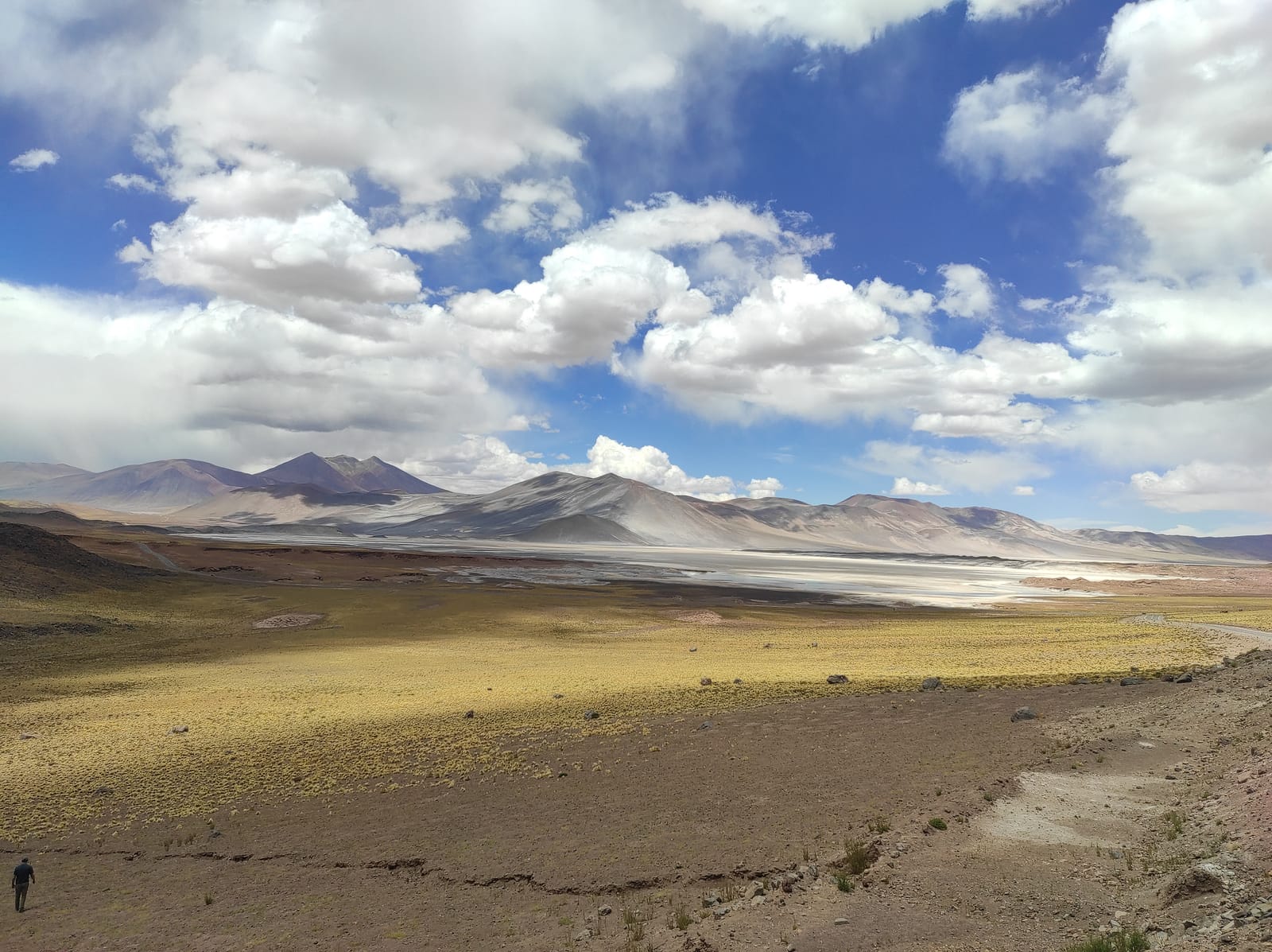 Lagunas Altiplânicas · foto 16