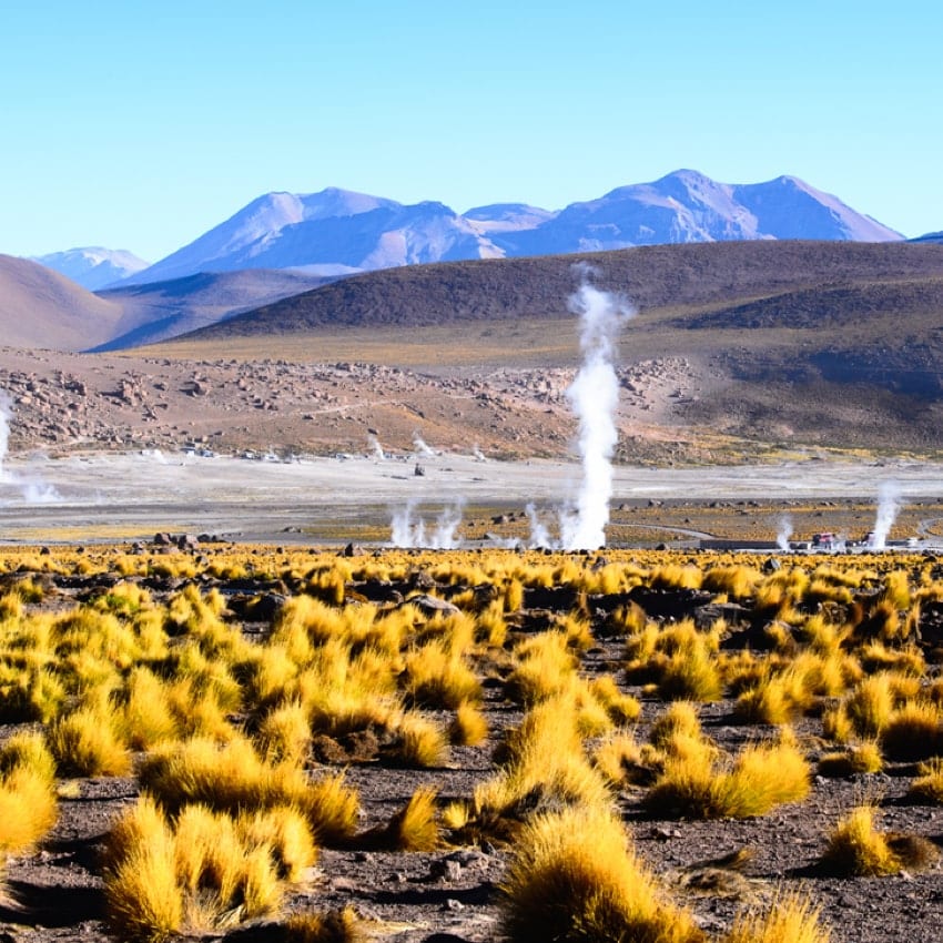 Gêiser del Tatio · foto 3