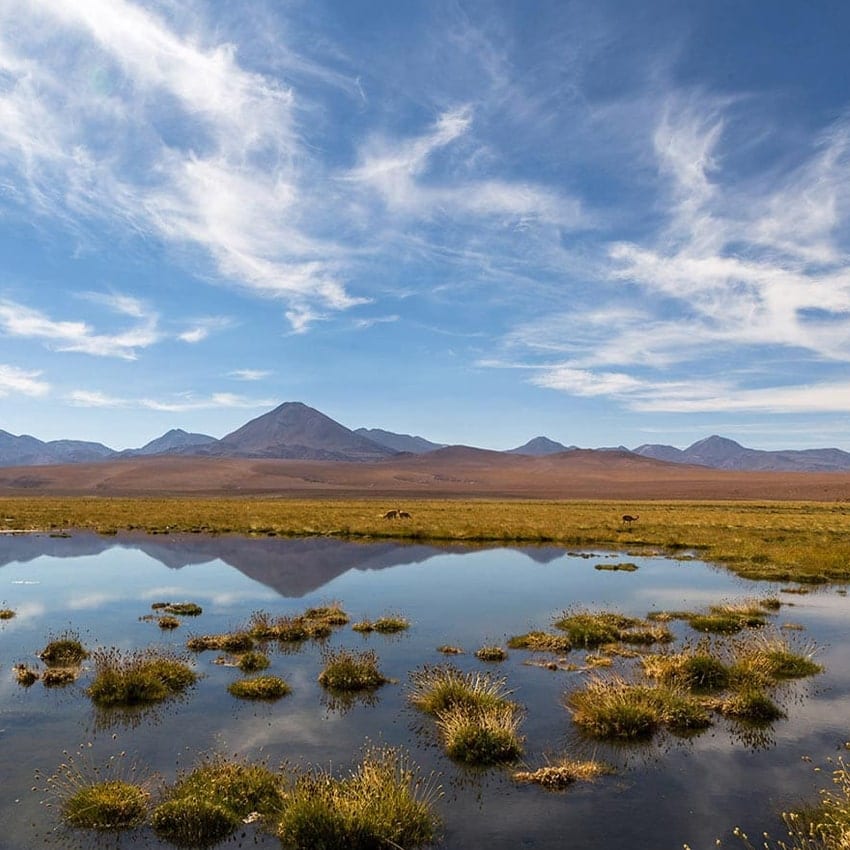 Gêiser del Tatio · foto 5
